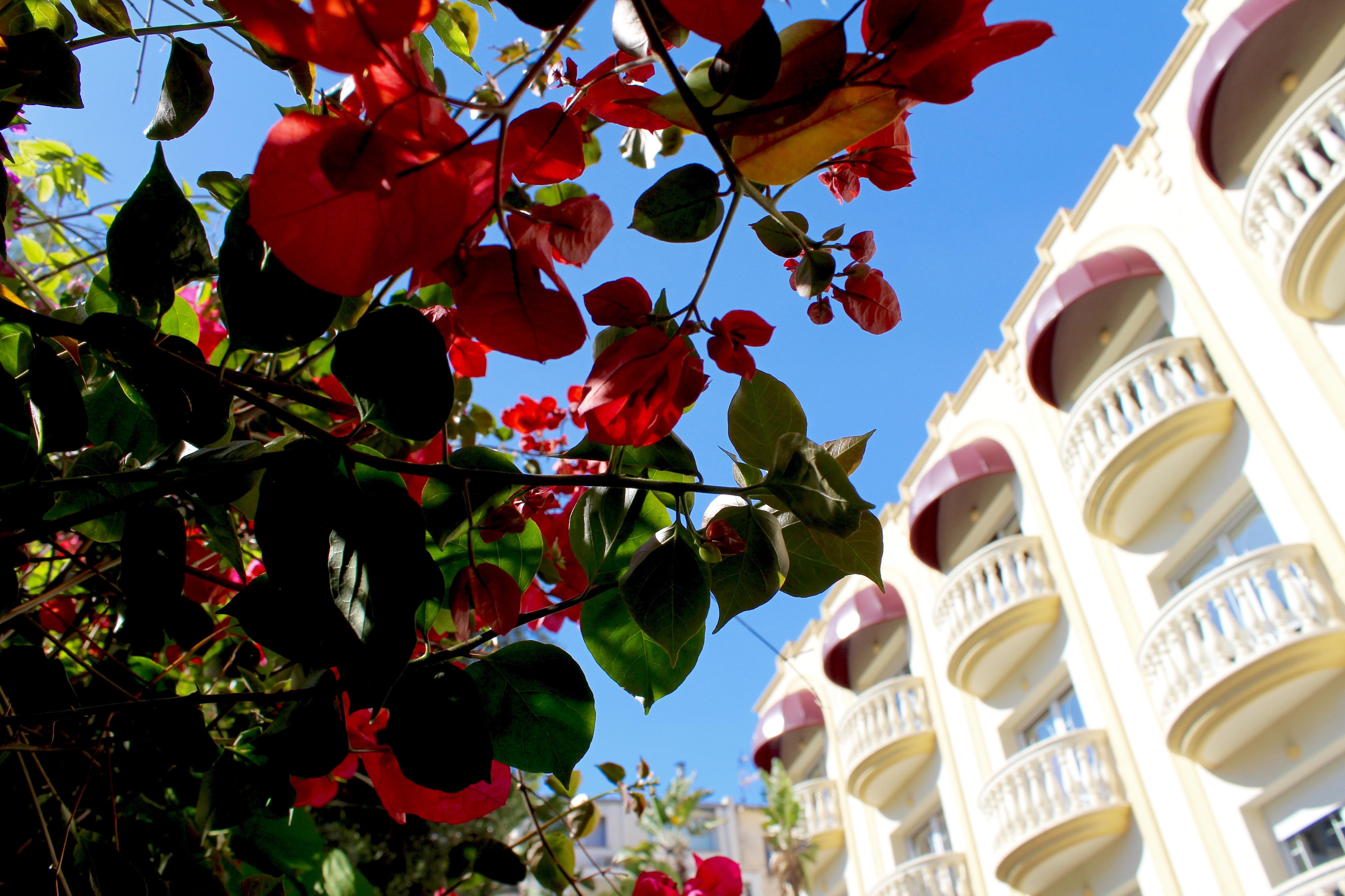 Urh Sitges Playa Hotel Ngoại thất bức ảnh